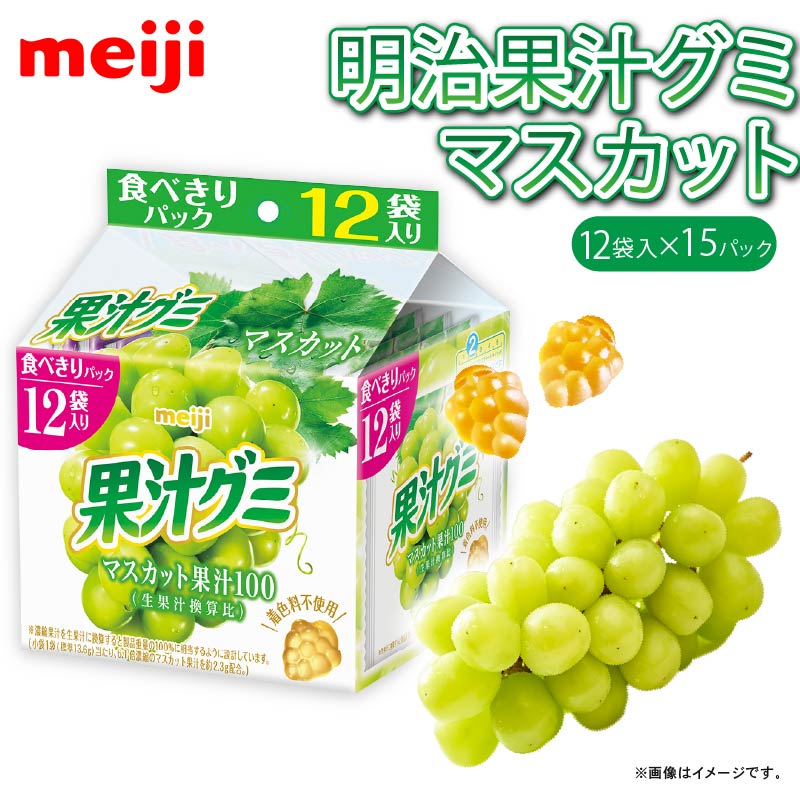 明治 果汁グミスマートパック マスカット 163ｇ × 15個 グミ お菓子 おやつ フルーツ 果物 果汁 詰め合わせ 詰合せ セット まとめ買い 静岡県 藤枝市