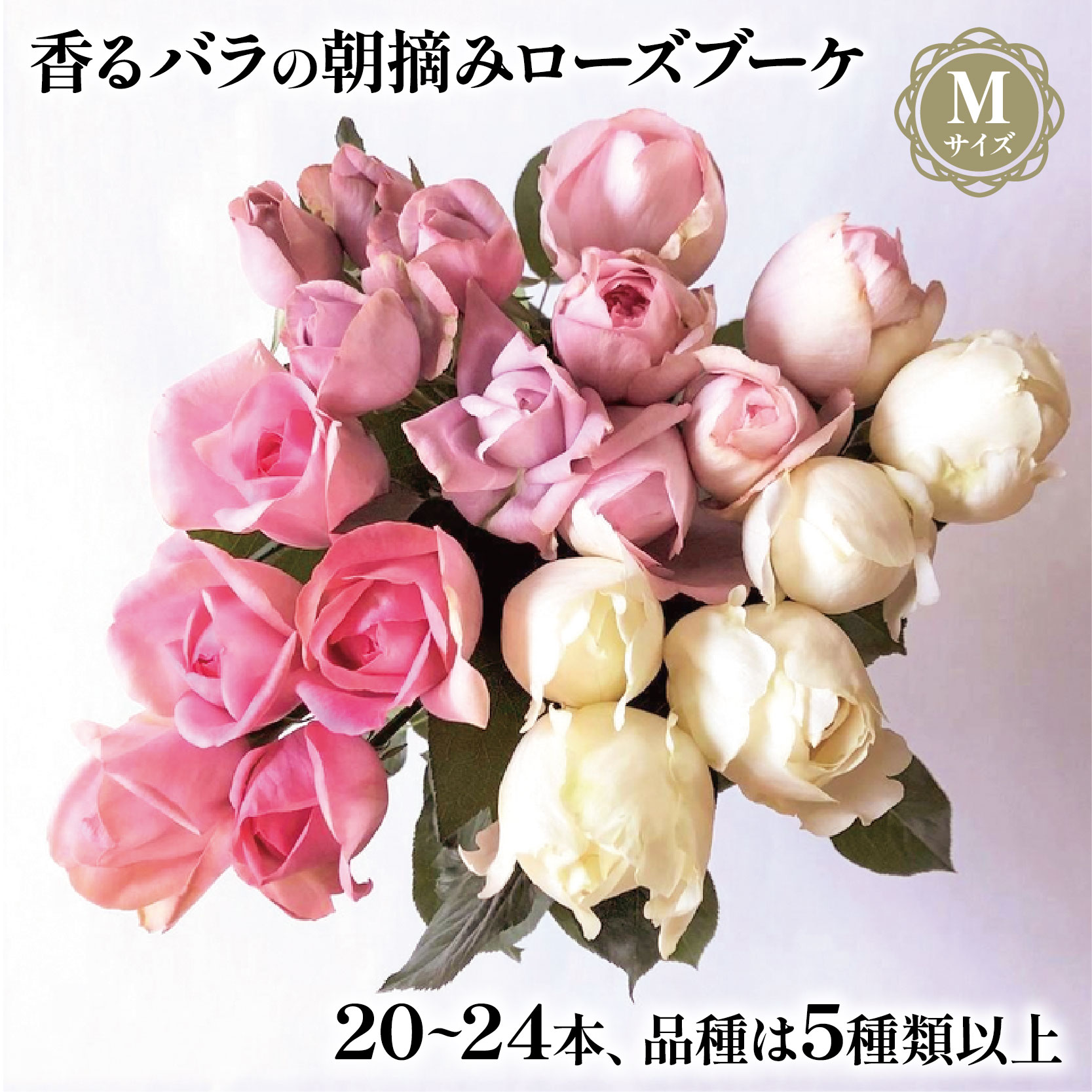 バラ 花束 ブーケ 朝摘み Mサイズ  薔薇 花 ばら 花 パフューム ローズ バラの花束 生花 ギフト 花 プレゼント