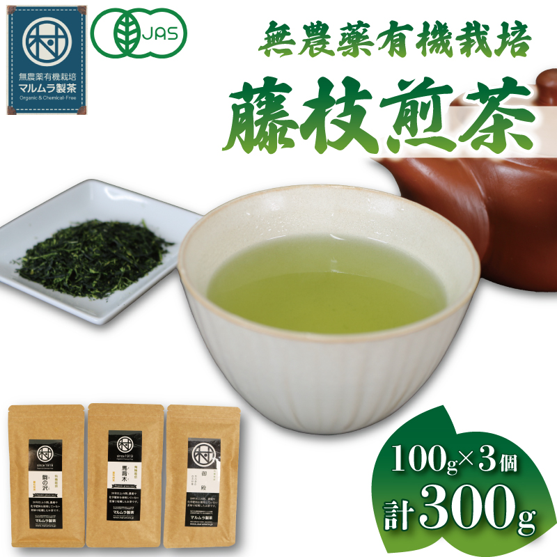 有機 栽培 藤枝 煎茶 3種セット 100g×3個 計300g 無農薬 煎茶 有機栽培 お茶 静岡茶 贈答 ギフト お取り寄せ マルムラ製茶 静岡県産 藤枝