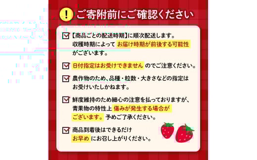 【先行予約 : 2026年1月〜2026年2月発送予定 】 いちご きらぴ香 約1kg 約250g×4パック 朝どれ 完熟 苺 産地 直送 フレッシュ イチゴ 贈答 フルーツ 果物 国産 静岡県 藤枝市 ふるさと人気 ふるさとおすすめ