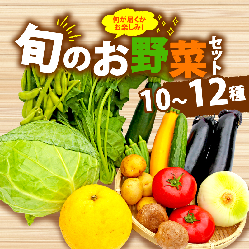 野菜 詰合せ 10～12種 おまかせ 旬 まんさいかん ボックス 静岡県 藤枝市