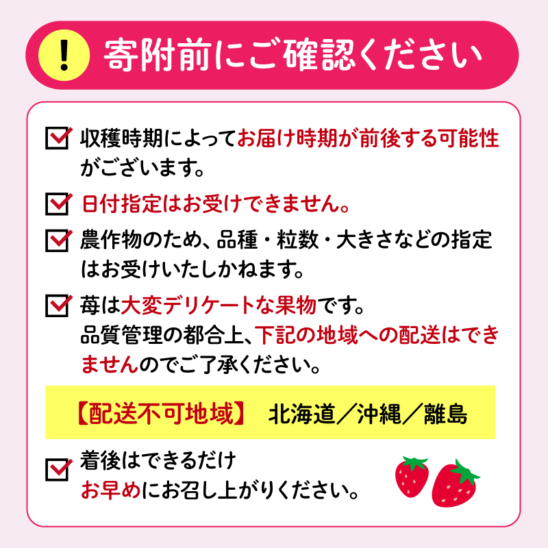 【先行予約 2026年04月より順次発送】 いちご 2kg 以上 おまかせ 苺 旬 産地 直送 フレッシュ イチゴ 紅ほっぺ きらぴ香 かおりの フルーツ 果物 国産 ジャパン ベリー オンライン決済限定 静岡県 藤枝市
