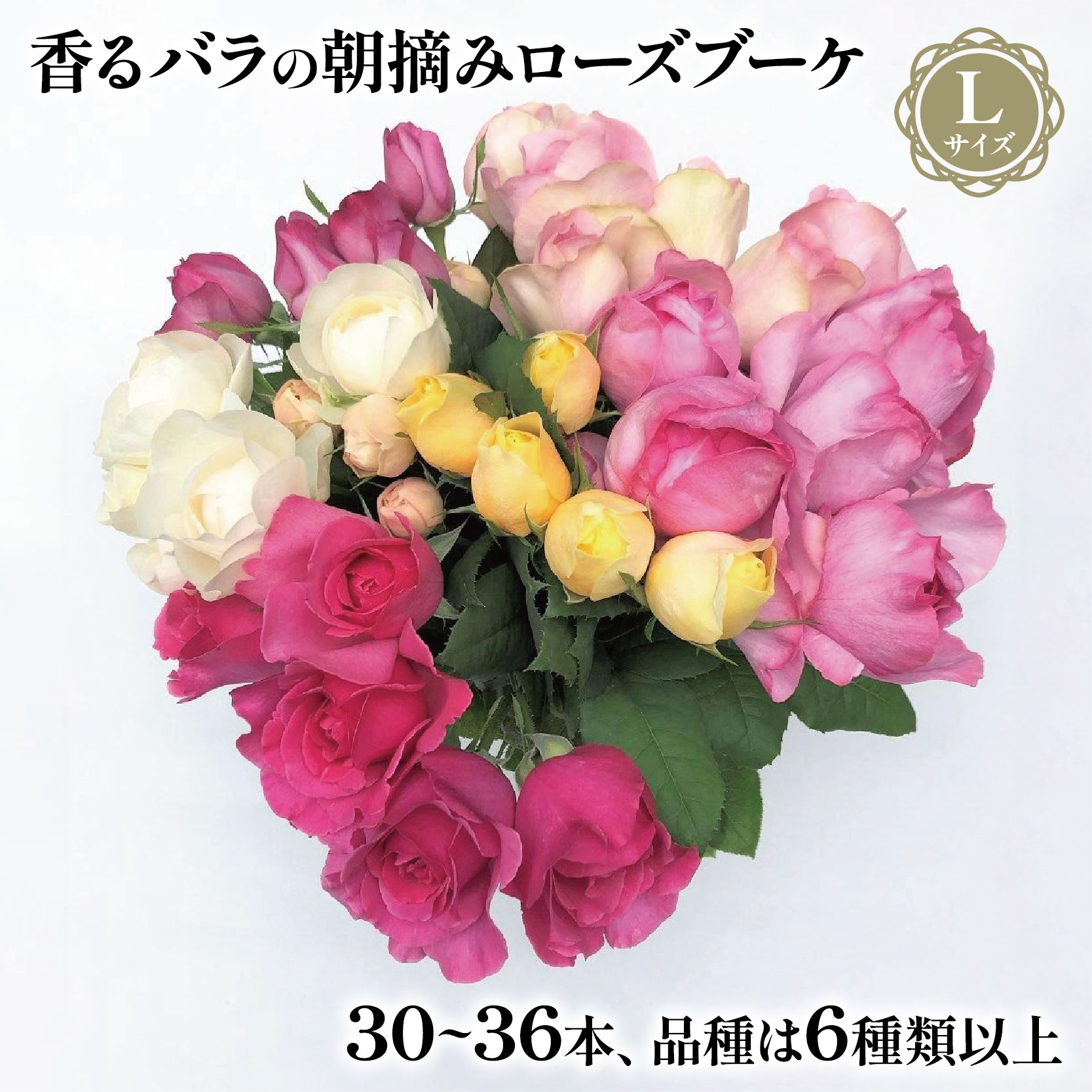 バラ 花束 ブーケ 朝摘み Lサイズ 薔薇 花 ばら 花 パフューム ローズ バラの花束 生花 ギフト 花 プレゼント