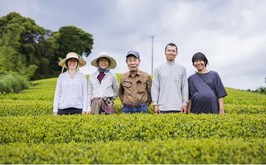 お茶 ティー バッグ 5種 詰合せ ブレンド 有機 茶葉 日本茶 紅茶 パック 詰め合わせ セット カテキン 健康