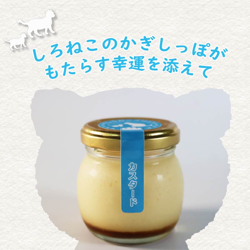 プリン 手作り カスタード プリン  6個 セット お菓子 デザート スイーツ おいしい  おやつ 洋菓子 ご褒美 送料無料   静岡県 藤枝市