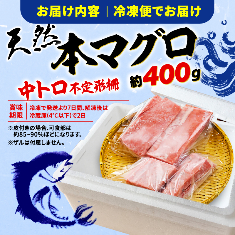 訳あり まぐろ 天然 本鮪 中とろ 約400g 不定型柵 鮪 まぐろ 冷凍 鮪 漬け マグロ ユッケ 海鮮 本マグロ 本まぐろ 人気 まぐろ おいしい まぐろ 鮪 静岡 藤枝