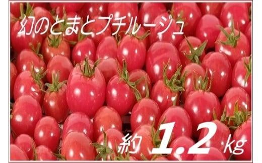 ミニ トマト プチルージュ 150g × 8パック 野菜 ダイエット 健康 リコピン グルメ