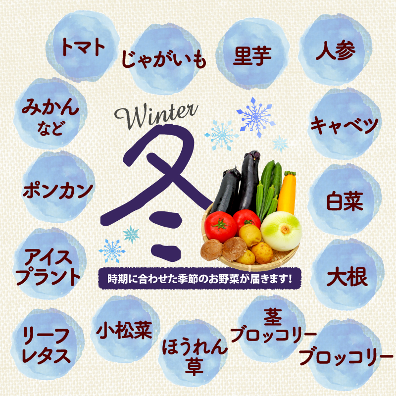 野菜 詰合せ 6～8種 おまかせ 旬 まんさいかん ボックス 静岡県 藤枝市