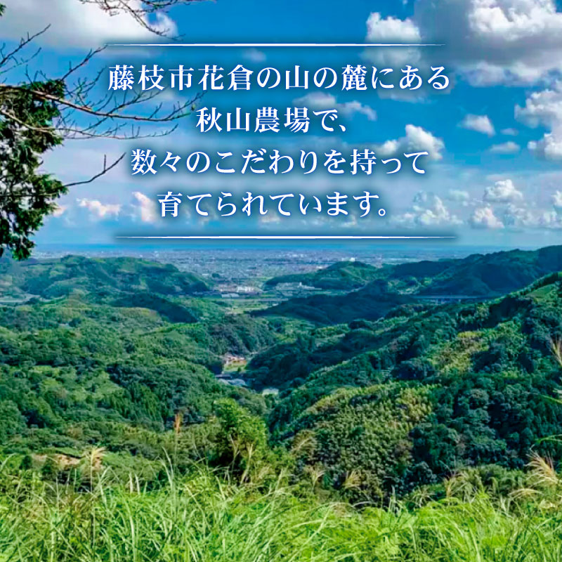 ã6åå®æäŸ¿ã 黿¯åç åãèœãšã 320gÃ2 A4 A5 ã©ã³ã¯ è ãè åç ç äººæ° åœç£ å®æäŸ¿ é岡ç è€æåž