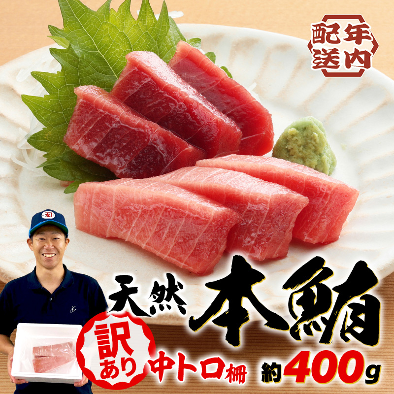 【2025年12月配送】 訳あり まぐろ 天然 本鮪 中とろ 約400g 不定型柵 鮪 まぐろ 冷凍 鮪 漬け マグロ ユッケ 海鮮 本マグロ 本まぐろ 人気 まぐろ おいしい まぐろ 鮪 静岡 藤枝