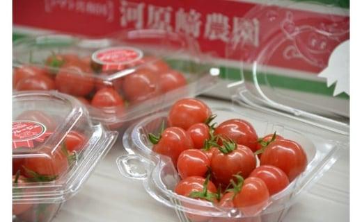 ミニ トマト プチルージュ 150g × 8パック 野菜 ダイエット 健康 リコピン グルメ