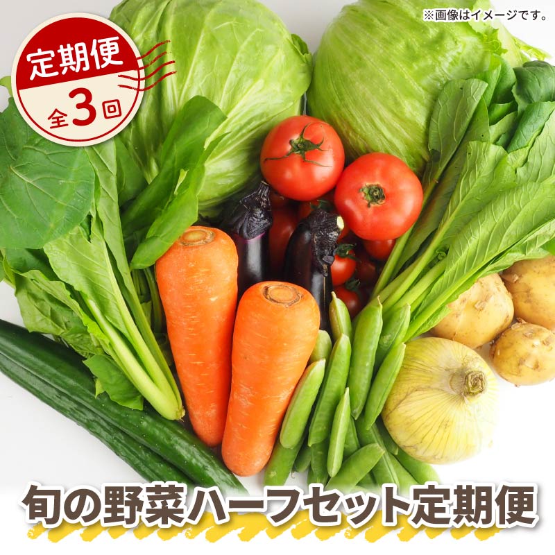 [ 全3回定期便 ] 野菜 詰め合わせ 産地 直送 6 ~ 8種 減農薬 栽培 旬 採れたて やさい お試し 一人暮らし ふたり人暮し 健康 食材 ハーフセット 静岡県 藤枝市