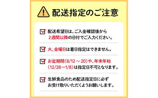 甘い ミニトマト アメーラルビンズ トマト 5パック 高糖度 10度 以上 化粧箱入り 産地 直送 新鮮 旬の 野菜 高級 フルーツトマト ジュース にも