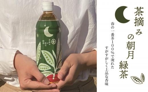 お茶 ペットボトル 500ml 24本 緑茶  一番茶 静岡茶 茶葉 人気 箱 朝摘み 朝月 常備 保存  備蓄 防災 まとめ買い 丸七製茶 静岡