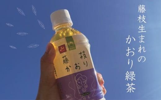 お茶 ペットボトル 藤枝かおり 350ml × 24本 × 2箱 緑茶 静岡県 飲み物 飲料 備蓄 保存 災害