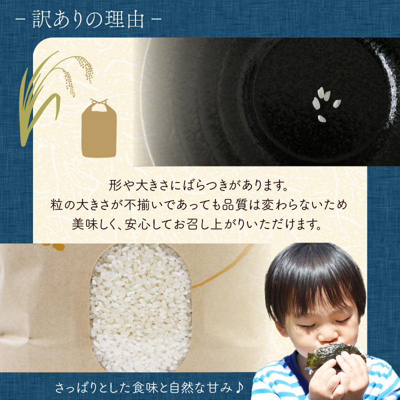 米 にじのきらめき 5kg 訳あり 再生二期作 規格外品 お米 新生活 贈り物 ご飯 ごはん 白米 コメ ライス こだわり 農作物 静岡県産米 静岡県 藤枝市