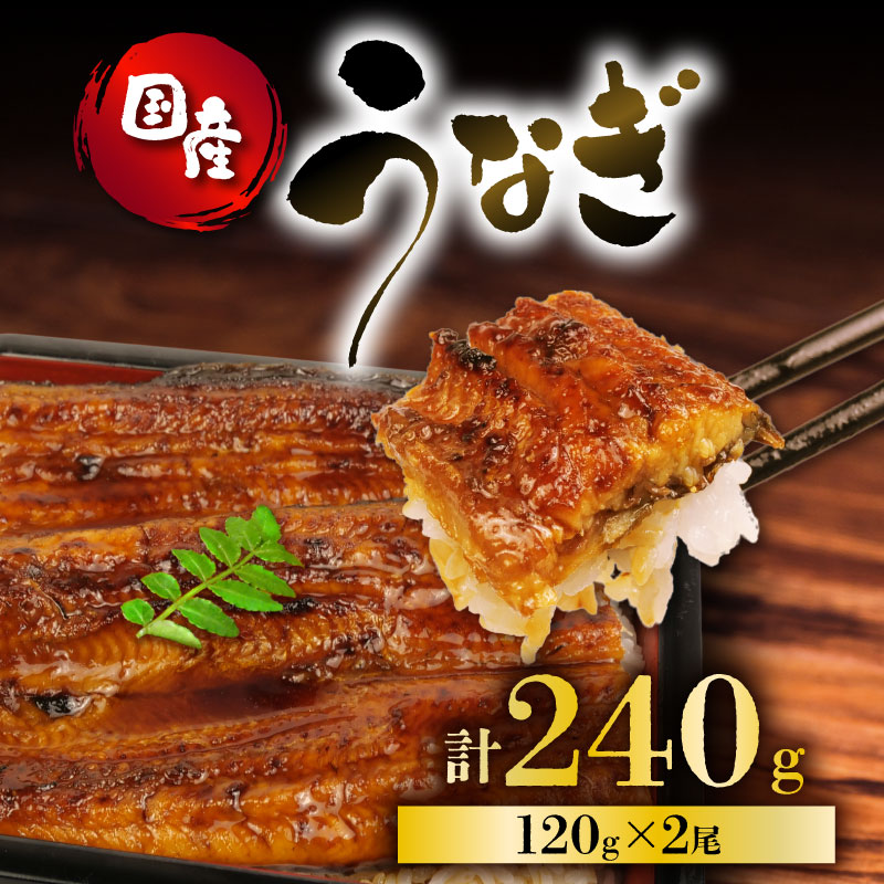 うなぎ 国産 蒲焼 120g ×2 計240g 鰻蒲焼 ウナギ 土用 丑の日 JAS認定 活鰻 特製無添加たれ 山椒 ギフト 贈答 冷凍 養殖 真空パック レンジ 調理 湯煎 まとめ買い 静岡県 藤枝 ふるさと人気
