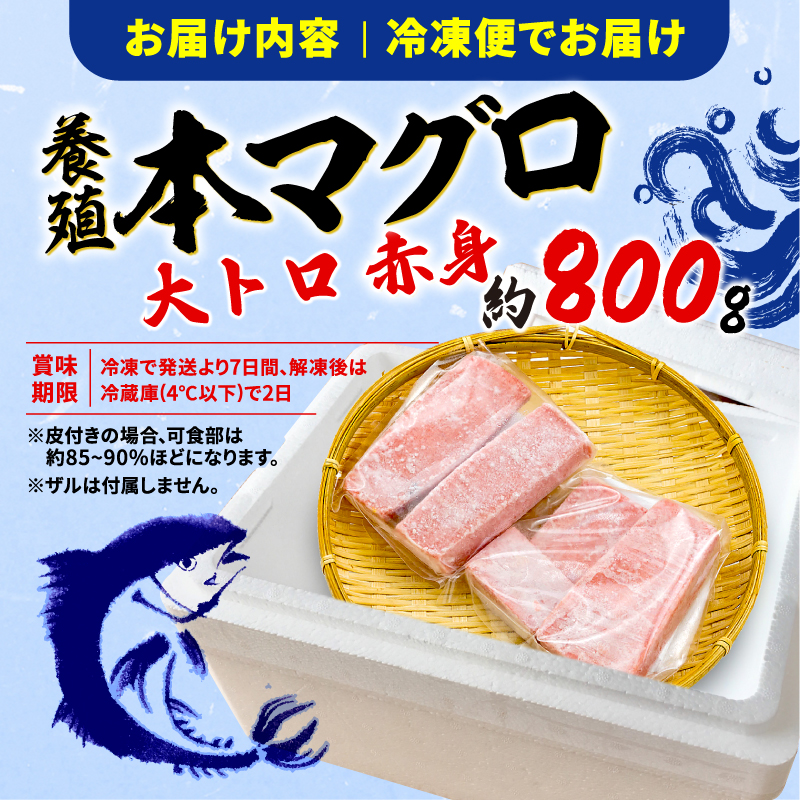 訳あり 本まぐろ 大とろ 赤身 セット 約 800g 不定型柵 鮪 まぐろ 大トロ 冷凍 鮪 漬け マグロ ユッケ 海鮮 本マグロ 本まぐろ 人気 まぐろ おいしい まぐろ 静岡 藤枝