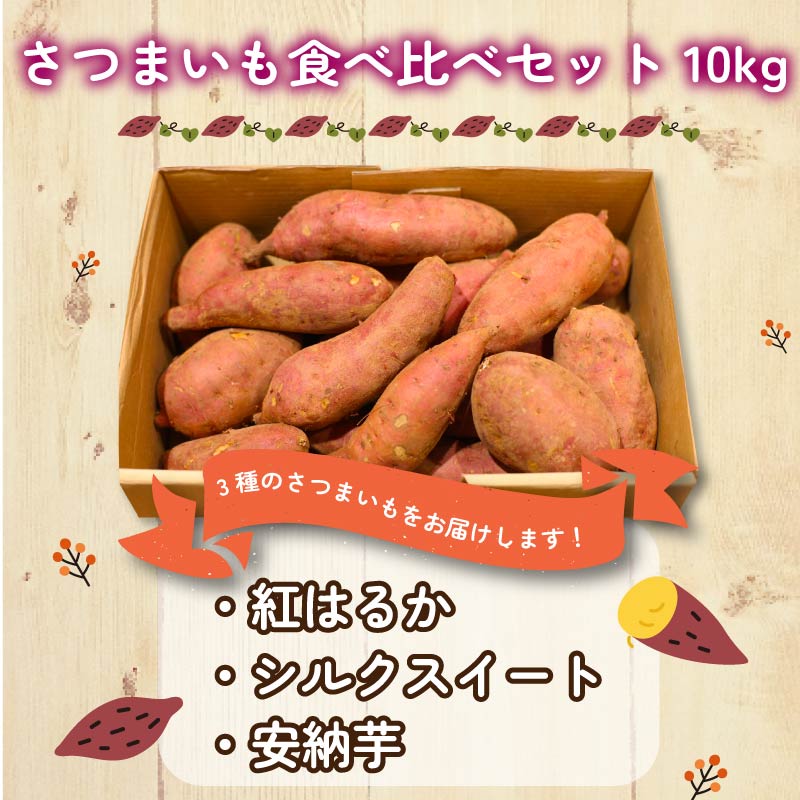 【2024年11月中旬～2025年2月末発送予定】 さつまいも 3種 食べ比べセット 10kg 紅はるか シルクスイート 安納芋 芋 期間限定 受付期間：2025年2月15日まで サツマイモ 化学肥料 農薬 不使用 焼き芋 旬 季節限定 期間限定 静岡県 藤枝市