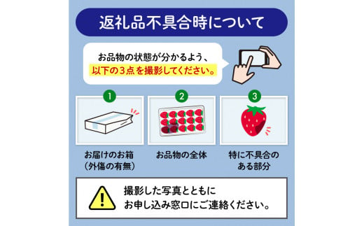 【先行予約 : 2025年1月～2025年2月発送予定 】 いちご きらぴ香 約1kg 約250g×4パック 朝どれ 完熟 苺 産地 直送 フレッシュ イチゴ 贈答 フルーツ 果物 国産 静岡県 藤枝市 ふるさと人気 ふるさとおすすめ