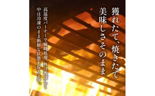 訳あり かつおのたたき 3kg 16,000円 サイズ 不揃い 小分け 真空 パック 新鮮 鮮魚 天然 水揚げ カツオ 鰹 タタキ 冷凍 大容量 マルコ水産 静岡県