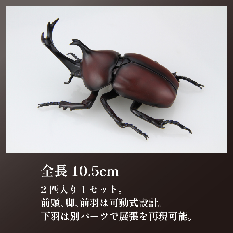 模型 昆虫 自由研究シリーズセット ヘラクレスオオカブト カブトムシ 2セット おもちゃ 玩具 ホビー 夏休み 虫 ヘラクレス 送料無料 フジミ 静岡県 藤枝市