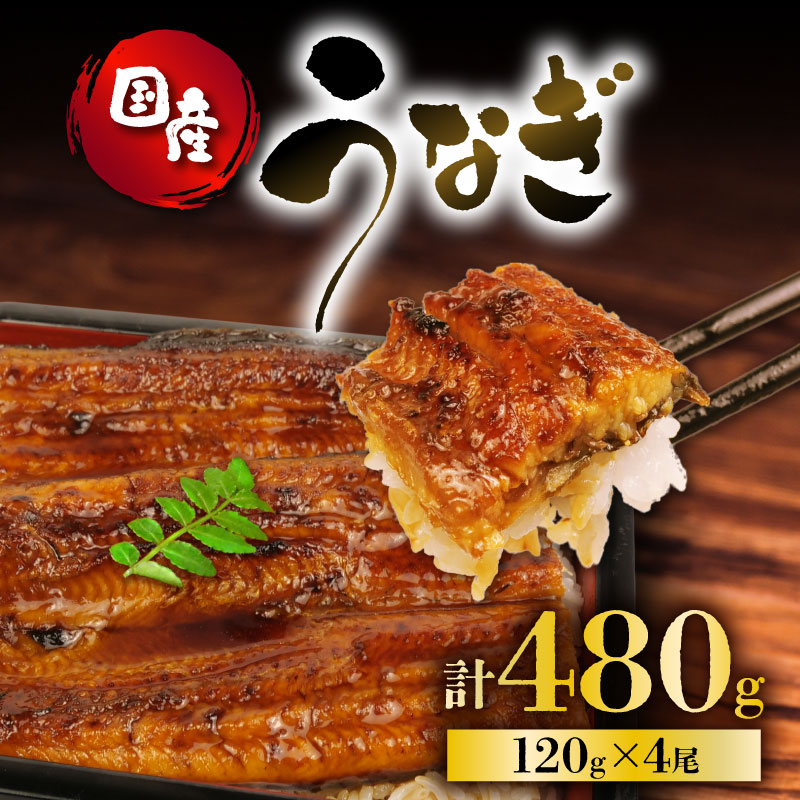 うなぎ 国産 蒲焼 120g × 4尾 計480g 鰻蒲焼 ウナギ 土用 丑の日 JAS認定 活鰻 特製無添加たれ 山椒 ギフト 贈答 冷凍 養殖 真空パック レンジ 調理 湯煎 まとめ買い 静岡県 藤枝