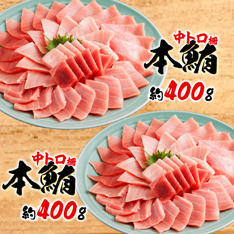 訳あり 本まぐろ 中とろ 中とろ セット 約 800g 不定型柵 鮪 まぐろ 中トロ 冷凍 鮪 漬け マグロ ユッケ 海鮮 本マグロ 本まぐろ 人気 まぐろ おいしい まぐろ 静岡 藤枝