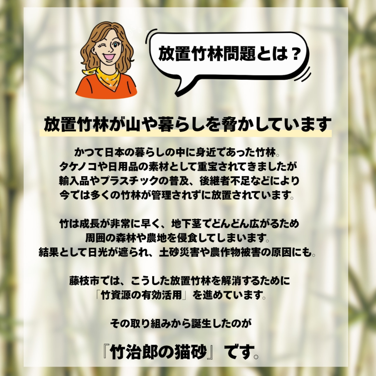 猫砂 竹次郎の猫砂 1セット ねこ ネコ 猫 愛猫 ペットトイレ ペット 動物 竹 吸収 抗菌 消臭 天然由来 静岡県 藤枝市