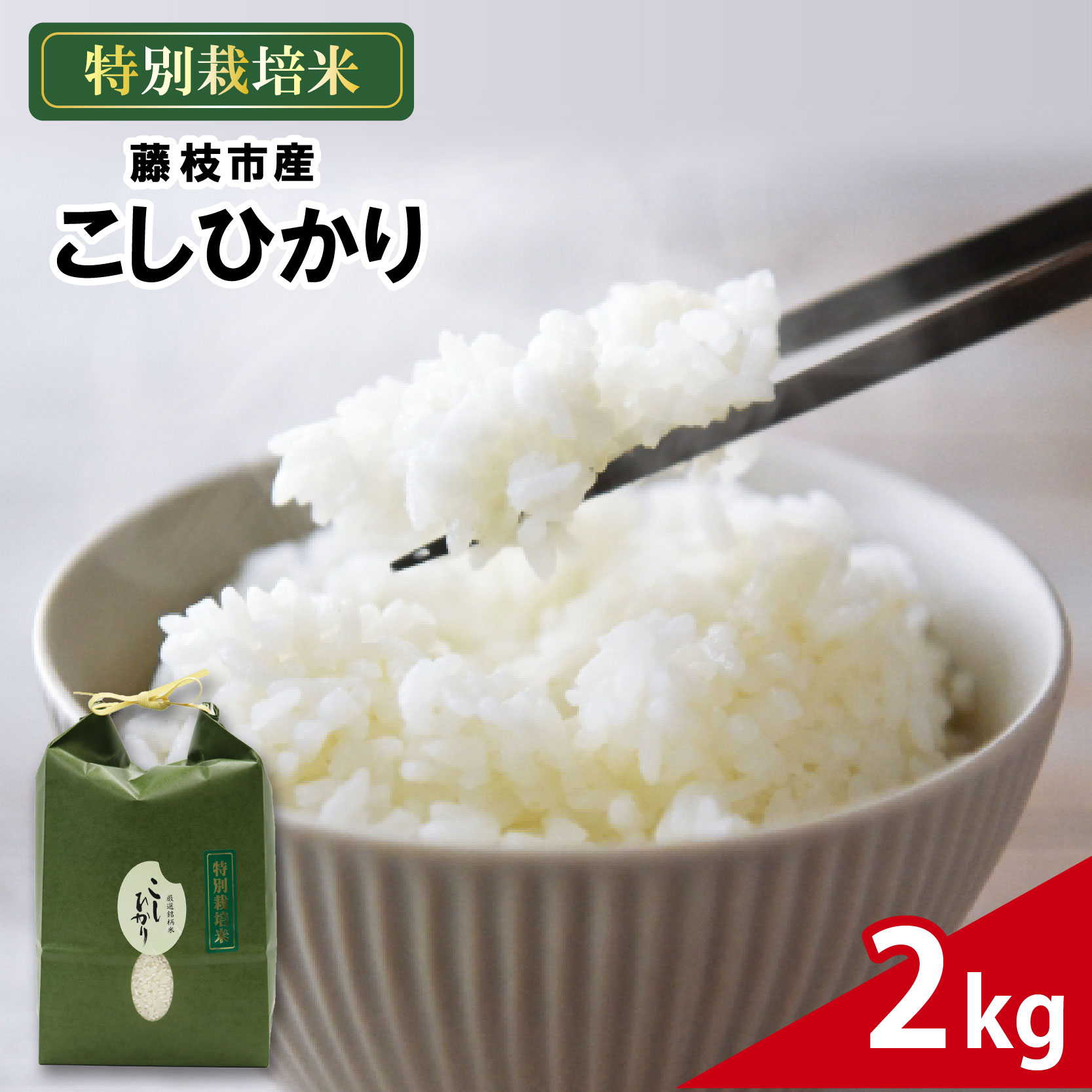 新米 米 こしひかり 2kg 農家直送 特別栽培米 精米 コシヒカリ 令和7年度産 お米 新生活 贈り物 人気米 ご飯 白米 コメ 贈答 静岡県 藤枝市
