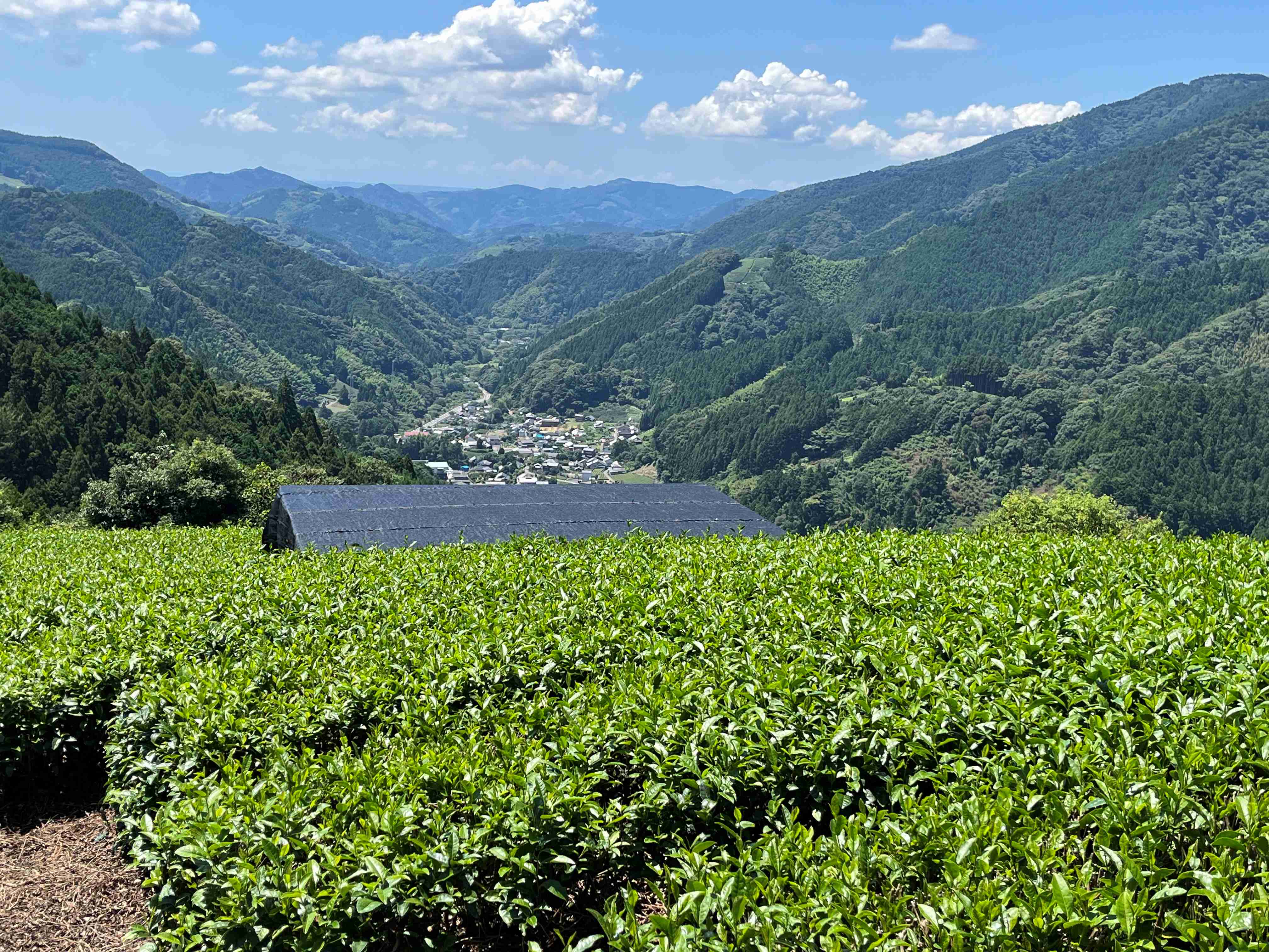 未来へつなぐ藤枝型茶業づくりなどの農林業の振興
