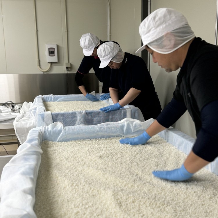 1775.御殿場地ワイン＆地酒セット　3種（36マルスラン・「榮」純米大吟醸・「雪解」純米吟醸）