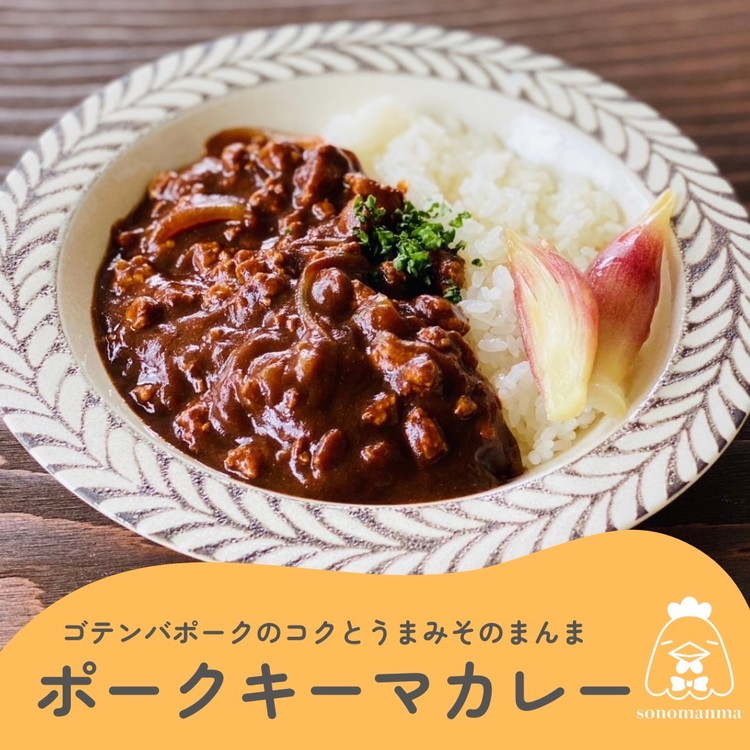 富士のウマミをsonomanma! 180g×9食 御殿場 ゴテンバポーク スープカレーレトルト | スープカレー ギフト 常温 非常食 保存食ローリングストック