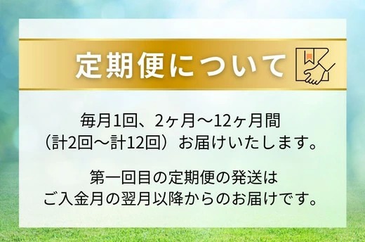 【定期便7ヶ月】静岡県産 緑茶 500ml×48本 ｜ ラベルレス ペットボトル お茶 飲料 ※沖縄・離島への配送不可