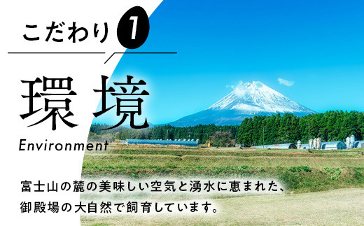 【定期便12ヵ月】《毎月16日にお届け》御殿たまご　赤たまご24個入り（破損保障含む）｜ 卵 タマゴ 玉子 たまごかけご飯 生卵 鶏卵 卵焼き 国産 御殿場産 ※北海道・沖縄・離島への配送不可