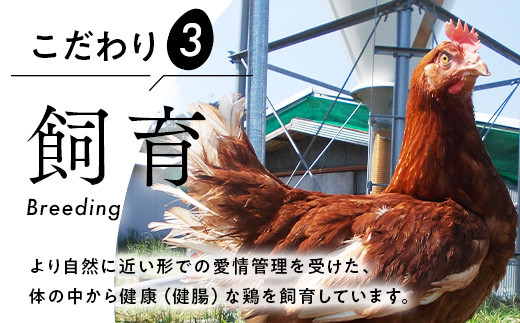 《25日と10日にお届け》御殿たまご 赤たまご 24個入×2回（破損保障含む）もみがら入 ｜ 卵 タマゴ 玉子 たまごかけご飯 生卵 鶏卵 卵焼き 国産 御殿場産  ※北海道・沖縄・離島への配送不可