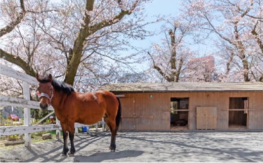 （平日限定）時之栖　ホテル時之栖1泊朝食付き　宿泊ペアチケット