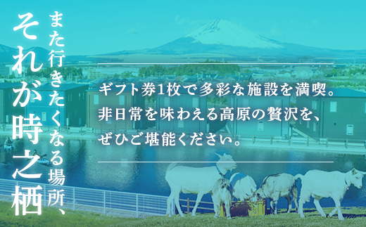 æä¹æ ã°ã«ãŒãã®ããåžïŒ3,000ååïŒããã±ããã宿æ³ãé£äºãäœéšã