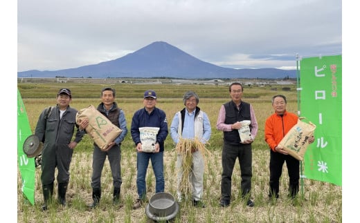 ピロール米　御殿場こしひかり　2kg※着日指定不可