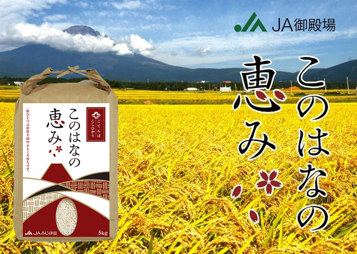 縺斐※繧薙ー縺薙@縺イ縺九j 縲後%縺ョ縺ッ縺ェ縺ョ諱オ縺ソ縲 5kg 縲舌♀邀ウ縲繧ウ繧キ繝偵き繝ェ縲鯛裸