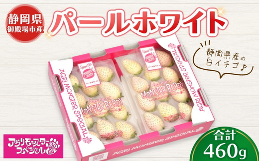 甘い白イチゴ パールホワイト 230g×トレー2枚 計460g ｜ いちご 苺 果物 静岡県 ※2026年1月上旬～4月中旬頃に順次発送予定 ※北海道・沖縄・離島への配送不可