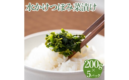 水かけつぼみ菜漬け　５パックセット【惣菜　漬物】