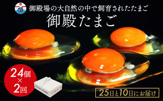 《25日と10日にお届け》御殿たまご 赤たまご 24個入×2回（破損保障含む）もみがら入 ｜ 卵 タマゴ 玉子 たまごかけご飯 生卵 鶏卵 卵焼き 国産 御殿場産  ※北海道・沖縄・離島への配送不可