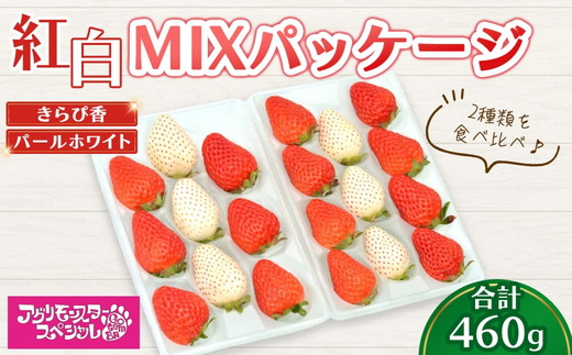 甘い白イチゴ パールホワイト と 静岡品種 きらぴ香の 紅白MIXパッケージ 230g×トレー2枚 計460g ｜ いちご 苺 果物 静岡県 食べ比べ 2種類 ※2026年1月上旬～4月中旬頃に順次発送予定 ※北海道・沖縄・離島への配送不可