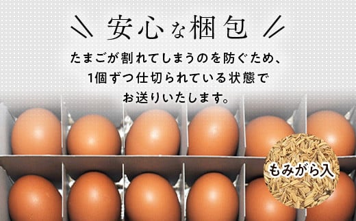 《25日と10日にお届け》御殿たまご 赤たまご 24個入×2回（破損保障含む）もみがら入 ｜ 卵 タマゴ 玉子 たまごかけご飯 生卵 鶏卵 卵焼き 国産 御殿場産  ※北海道・沖縄・離島への配送不可