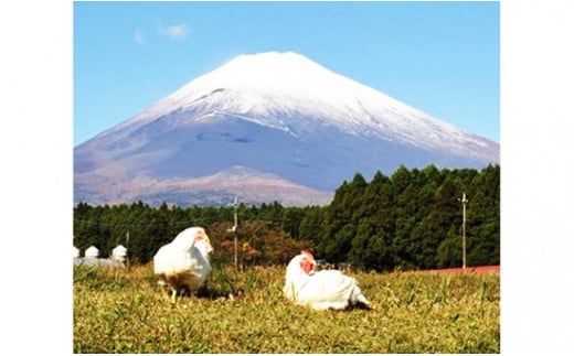 太陽チキンスモーク◇