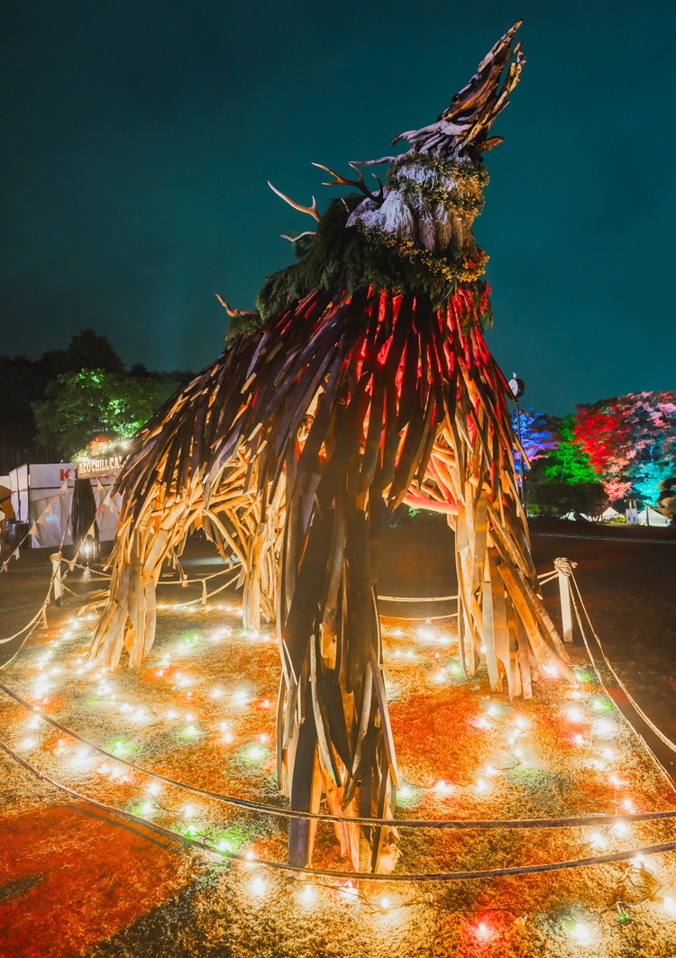 ACO CHiLL CAMP 2026　大人5月16日1日券　1枚 ※2025年12月中旬～2026年4月下旬頃に順次発送予定