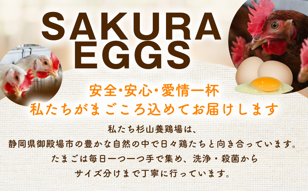 純国産鶏さくらちゃんが産んだ桜色のさくら玉子 五分咲き（Mサイズ）40個  | 卵 鶏卵 たまご タマゴ 生卵 たまごかけご飯 濃厚 甘み 国産 寄附額 10000 10000円 1万円 以下 以内