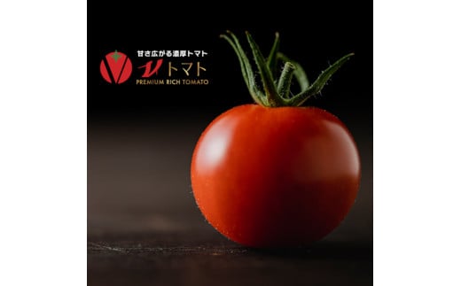 フルーツトマトジュース180ml（V-TOMATOジュース）10本セット【野菜　飲料　高糖度】※着日指定不可