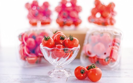 御殿場プチトマト あっこひめ 6パック（約1.2kg） ※～2026年7月発送